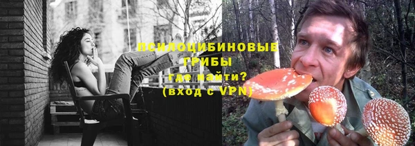 a pvp Богородицк